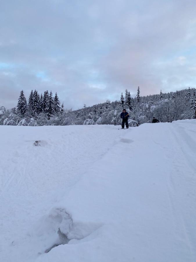 Tuddal Hyttegrend, Gamlestugu, Telemark Exterior foto
