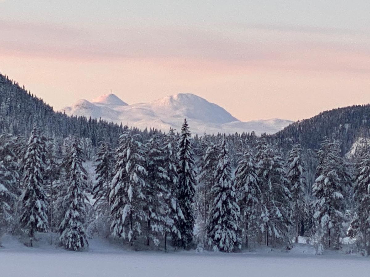 Tuddal Hyttegrend, Gamlestugu, Telemark Exterior foto
